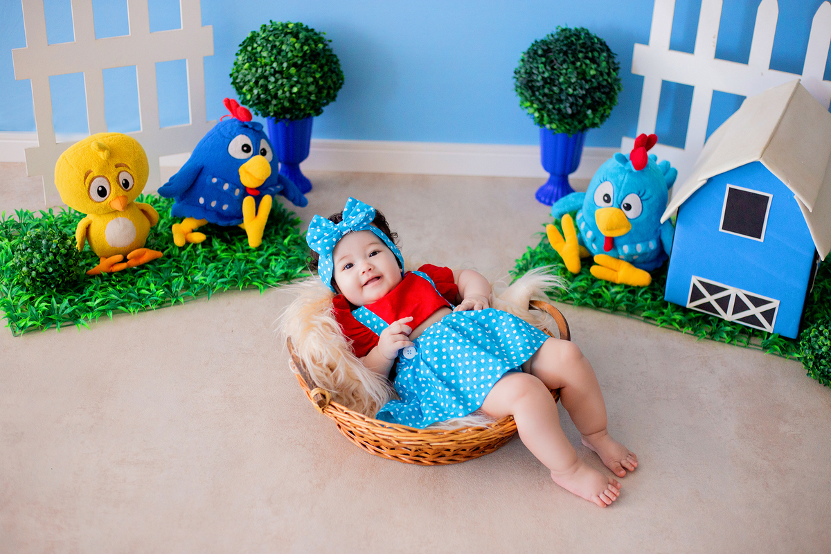 acompanhamento mensal de bebe caxias do sul figurino cenario tematico  personagem foto infantil serra gaucha fotografia familia mundo azul rosa ensaio fotografico crianca newborn baby menino menina smash the cake esmague o bolo banheira urso circo