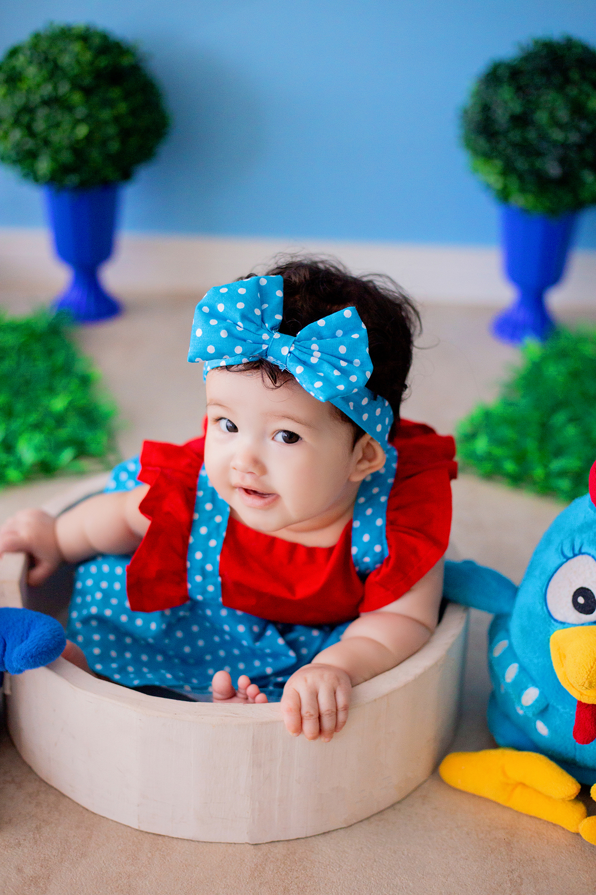 acompanhamento mensal de bebe caxias do sul figurino cenario tematico  personagem foto infantil serra gaucha fotografia familia mundo azul rosa ensaio fotografico crianca newborn baby menino menina smash the cake esmague o bolo banheira urso circo