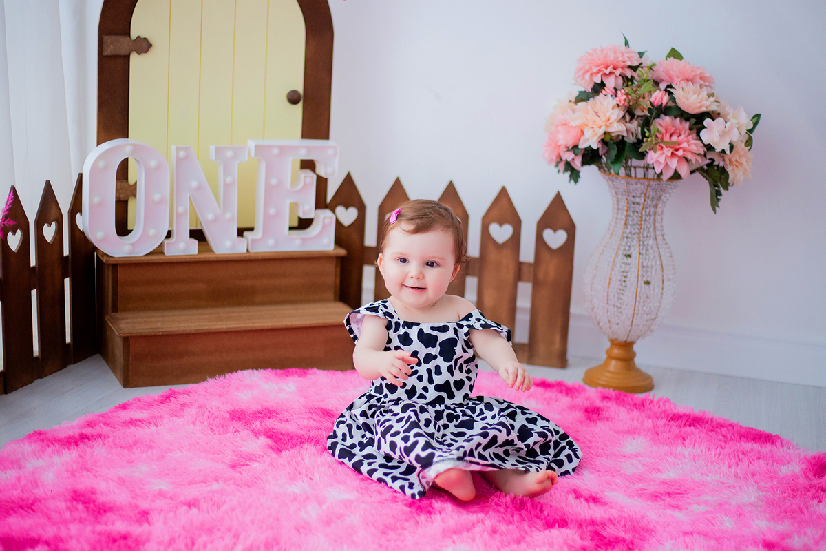 acompanhamento mensal de bebe caxias do sul figurino cenario tematico  personagem foto infantil serra gaucha fotografia familia mundo azul rosa ensaio fotografico crianca newborn baby menino menina smash the cake esmague o bolo banheira urso circo