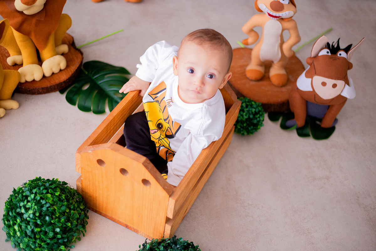 acompanhamento mensal de bebe caxias do sul figurino cenario tematico  personagem foto infantil serra gaucha fotografia familia mundo azul rosa ensaio fotografico crianca newborn baby menino menina smash the cake esmague o bolo banheira urso circo