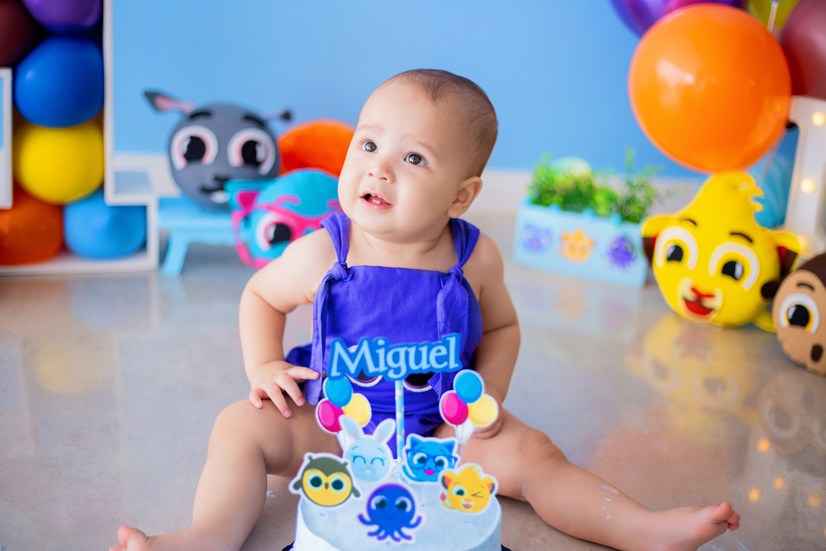 acompanhamento mensal de bebe caxias do sul figurino cenario tematico  personagem foto infantil serra gaucha fotografia familia mundo azul rosa ensaio fotografico crianca newborn baby menino menina smash the cake esmague o bolo banheira urso circo