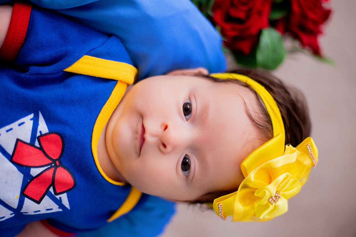 acompanhamento mensal de bebe caxias do sul figurino cenario tematico  personagem foto infantil serra gaucha fotografia familia mundo azul rosa ensaio fotografico crianca newborn baby menino menina smash the cake esmague o bolo banheira urso circo