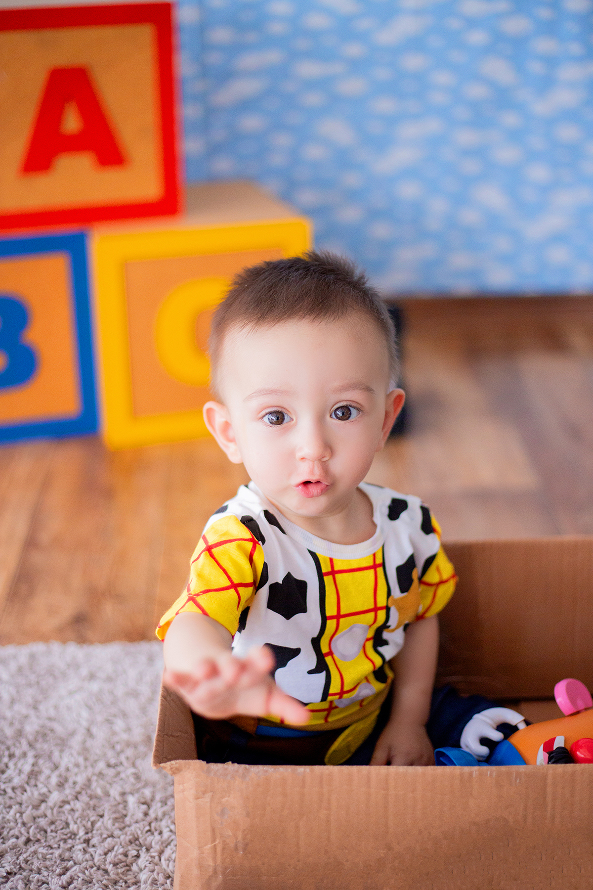 acompanhamento mensal de bebe caxias do sul figurino cenario tematico  personagem foto infantil serra gaucha fotografia familia mundo azul rosa ensaio fotografico crianca newborn baby menino menina smash the cake esmague o bolo banheira urso circo