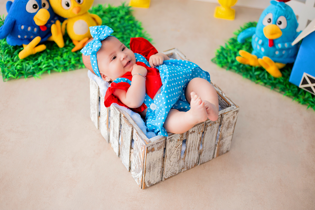 acompanhamento mensal de bebe caxias do sul figurino cenario tematico  personagem foto infantil serra gaucha fotografia familia mundo azul rosa ensaio fotografico crianca newborn baby menino menina smash the cake esmague o bolo banheira urso circo