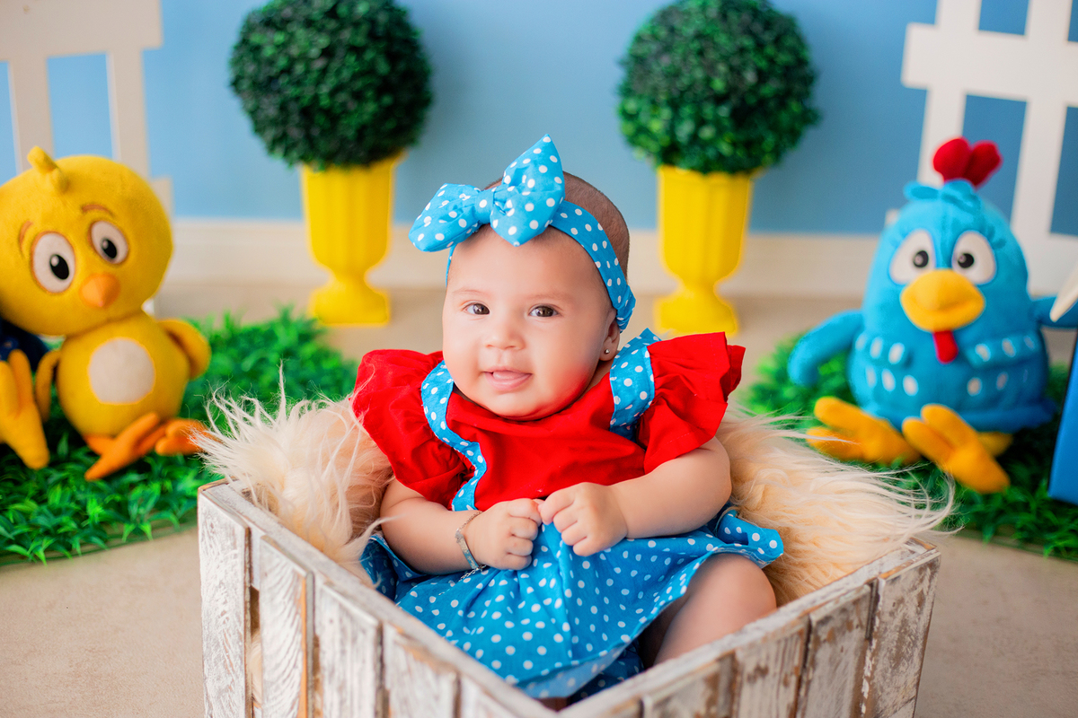 acompanhamento mensal de bebe caxias do sul figurino cenario tematico  personagem foto infantil serra gaucha fotografia familia mundo azul rosa ensaio fotografico crianca newborn baby menino menina smash the cake esmague o bolo banheira urso circo