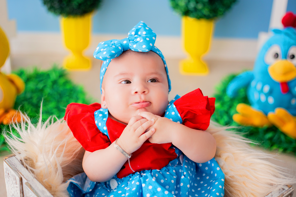 acompanhamento mensal de bebe caxias do sul figurino cenario tematico  personagem foto infantil serra gaucha fotografia familia mundo azul rosa ensaio fotografico crianca newborn baby menino menina smash the cake esmague o bolo banheira urso circo