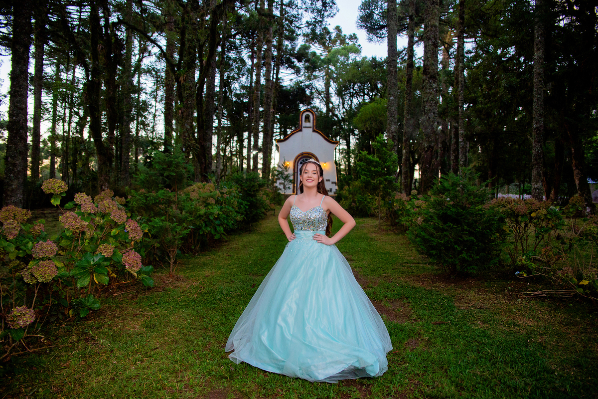 acompanhamento mensal de bebe caxias do sul figurino cenario tematico  personagem foto infantil serra gaucha fotografia familia mundo azul rosa ensaio fotografico crianca newborn baby menino menina smash the cake esmague o bolo banheira urso circo