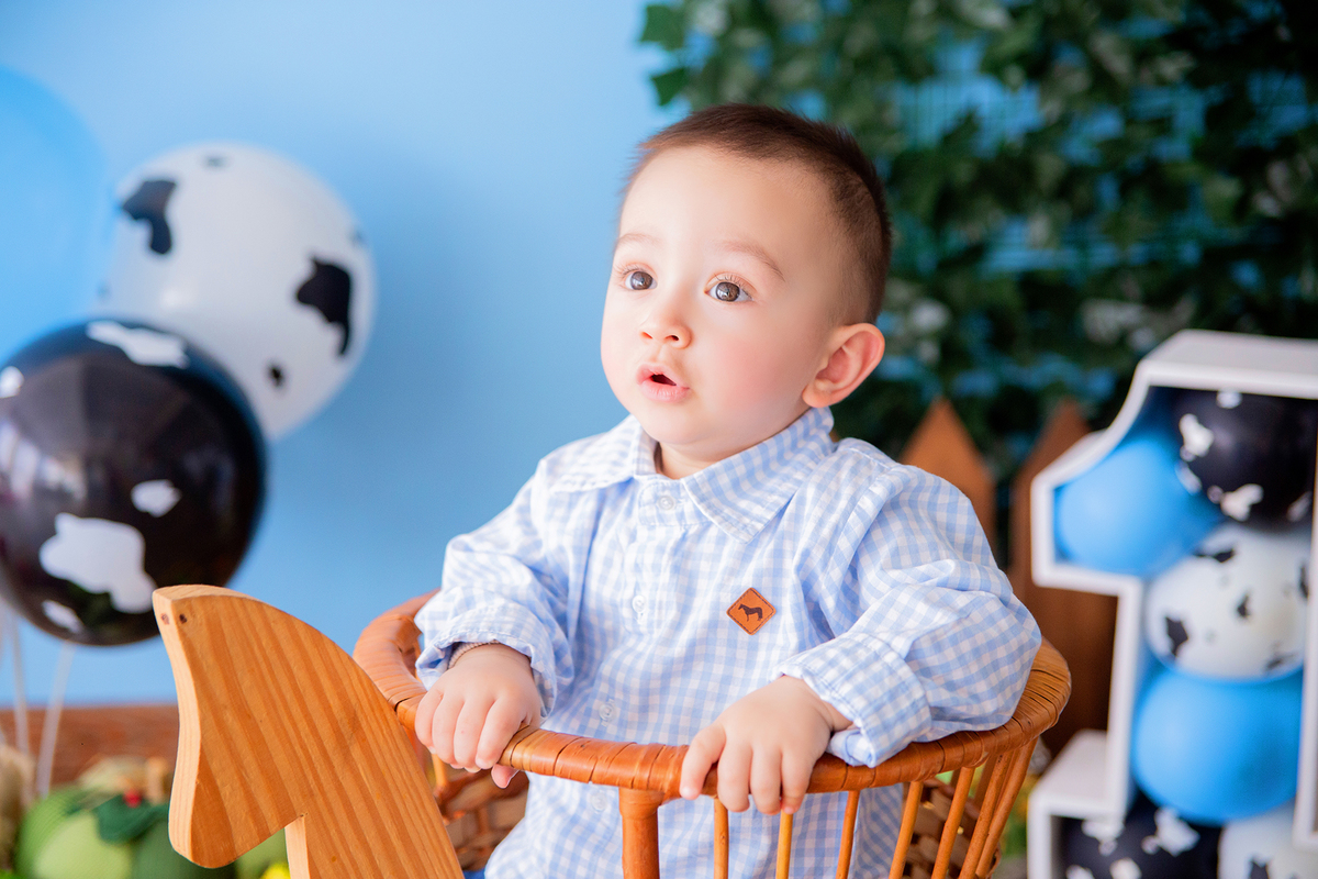 acompanhamento mensal de bebe caxias do sul figurino cenario tematico  personagem foto infantil serra gaucha fotografia familia mundo azul rosa ensaio fotografico crianca newborn baby menino menina smash the cake esmague o bolo banheira urso circo