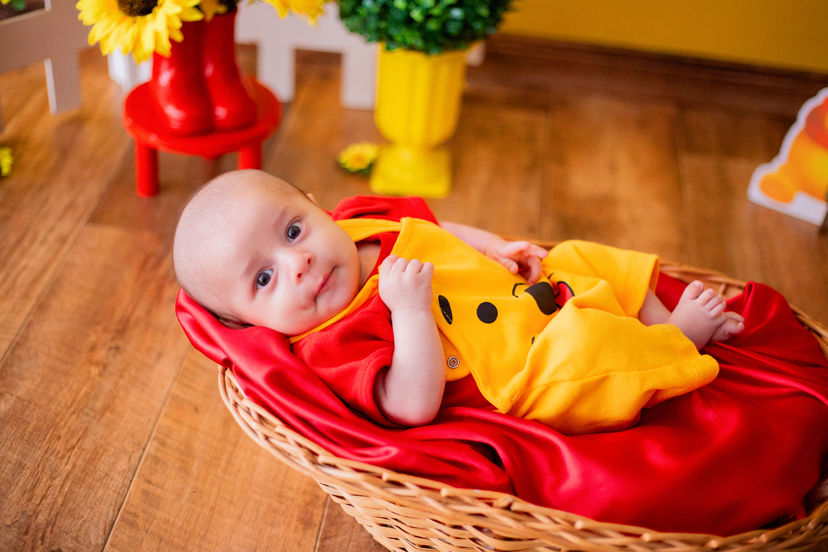 acompanhamento mensal de bebe caxias do sul figurino cenario tematico  personagem foto infantil serra gaucha fotografia familia mundo azul rosa ensaio fotografico crianca newborn baby menino menina smash the cake esmague o bolo banheira urso circo