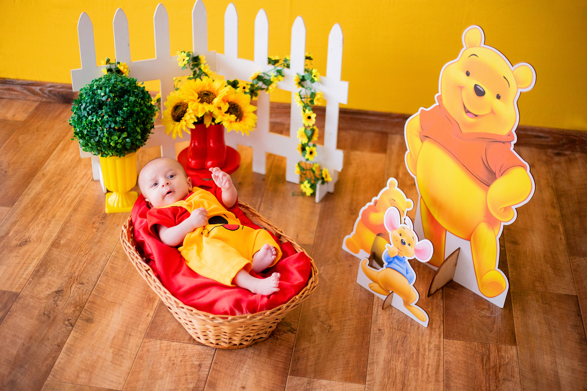 acompanhamento mensal de bebe caxias do sul figurino cenario tematico  personagem foto infantil serra gaucha fotografia familia mundo azul rosa ensaio fotografico crianca newborn baby menino menina smash the cake esmague o bolo banheira urso circo