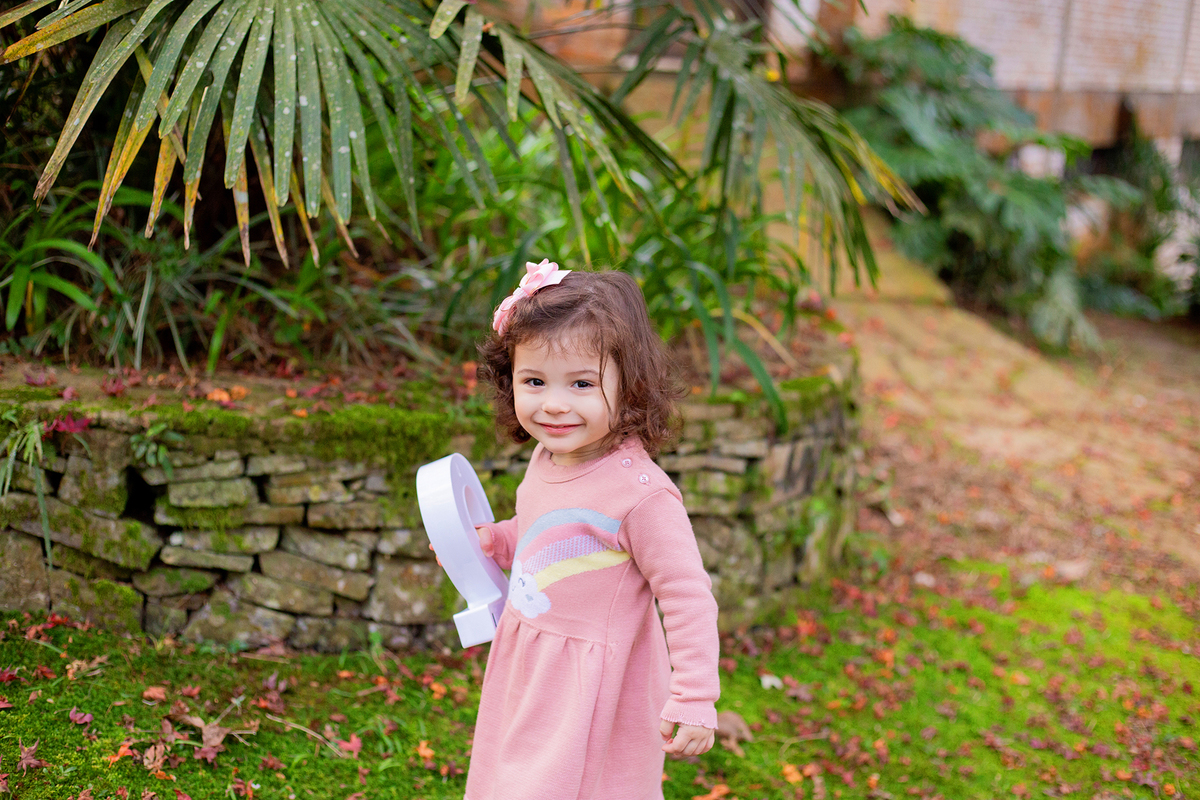 acompanhamento mensal de bebe caxias do sul figurino cenario tematico  personagem foto infantil serra gaucha fotografia familia mundo azul rosa ensaio fotografico crianca newborn baby menino menina smash the cake esmague o bolo banheira urso circoacompanh