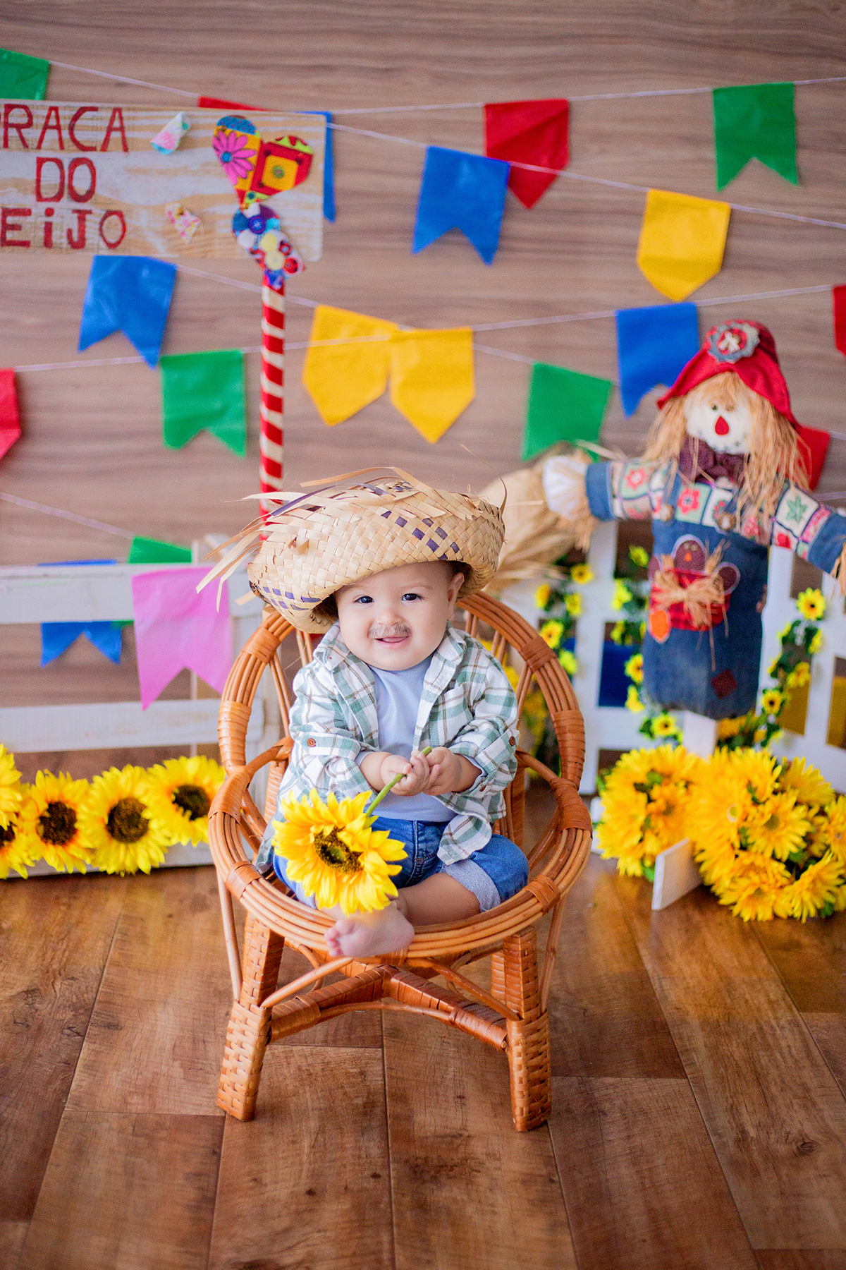 acompanhamento mensal de bebe caxias do sul figurino cenario tematico  personagem foto infantil serra gaucha fotografia familia mundo azul rosa ensaio fotografico crianca newborn baby menino menina smash the cake esmague o bolo banheira urso circoacompanh