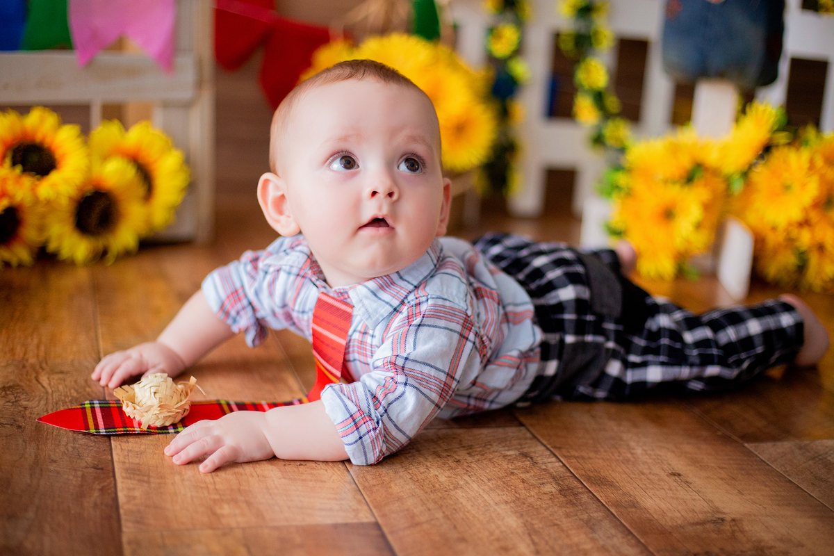 acompanhamento mensal de bebe caxias do sul figurino cenario tematico  personagem foto infantil serra gaucha fotografia familia mundo azul rosa ensaio fotografico crianca newborn baby menino menina smash the cake esmague o bolo banheira urso circoacompanh