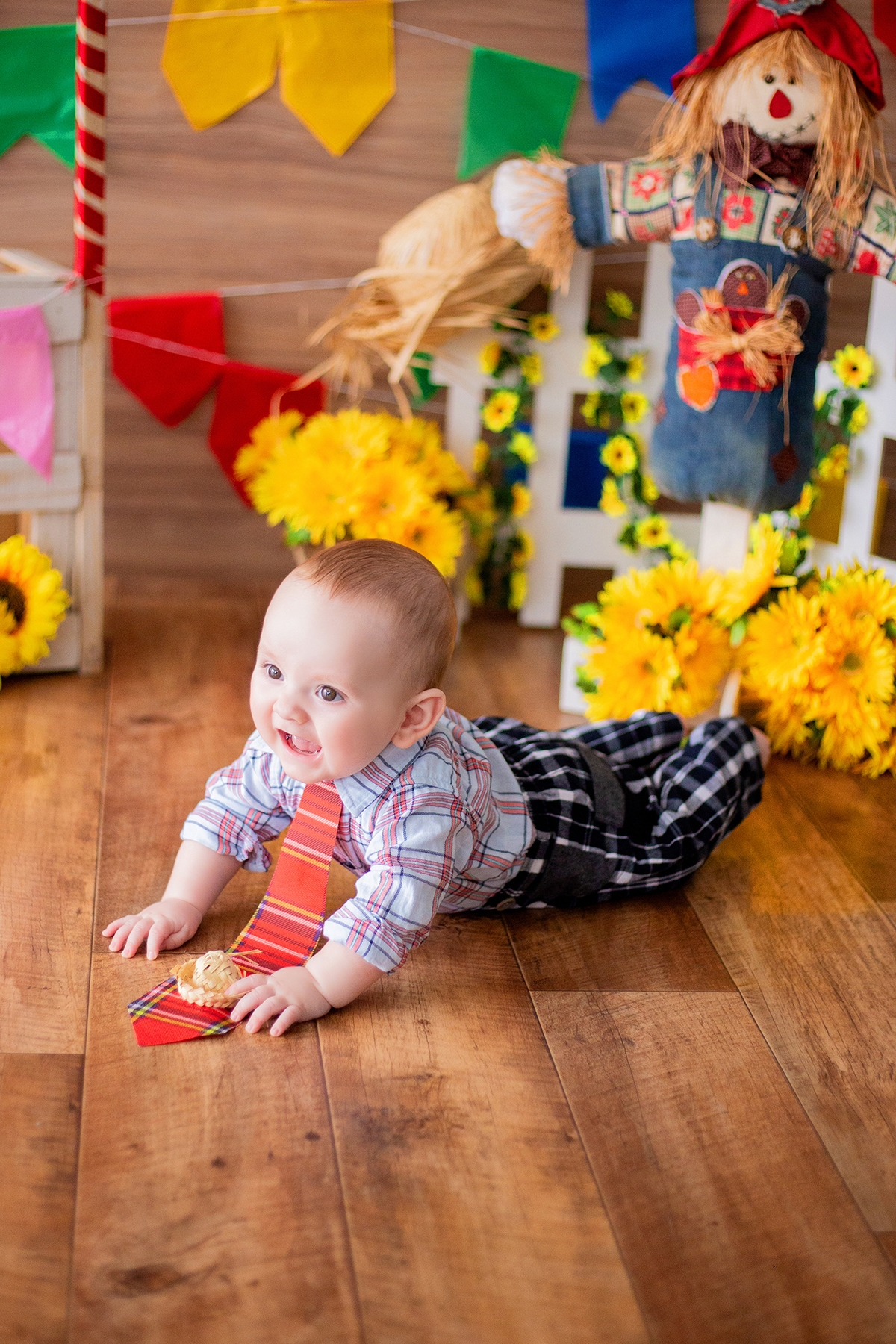 acompanhamento mensal de bebe caxias do sul figurino cenario tematico  personagem foto infantil serra gaucha fotografia familia mundo azul rosa ensaio fotografico crianca newborn baby menino menina smash the cake esmague o bolo banheira urso circoacompanh