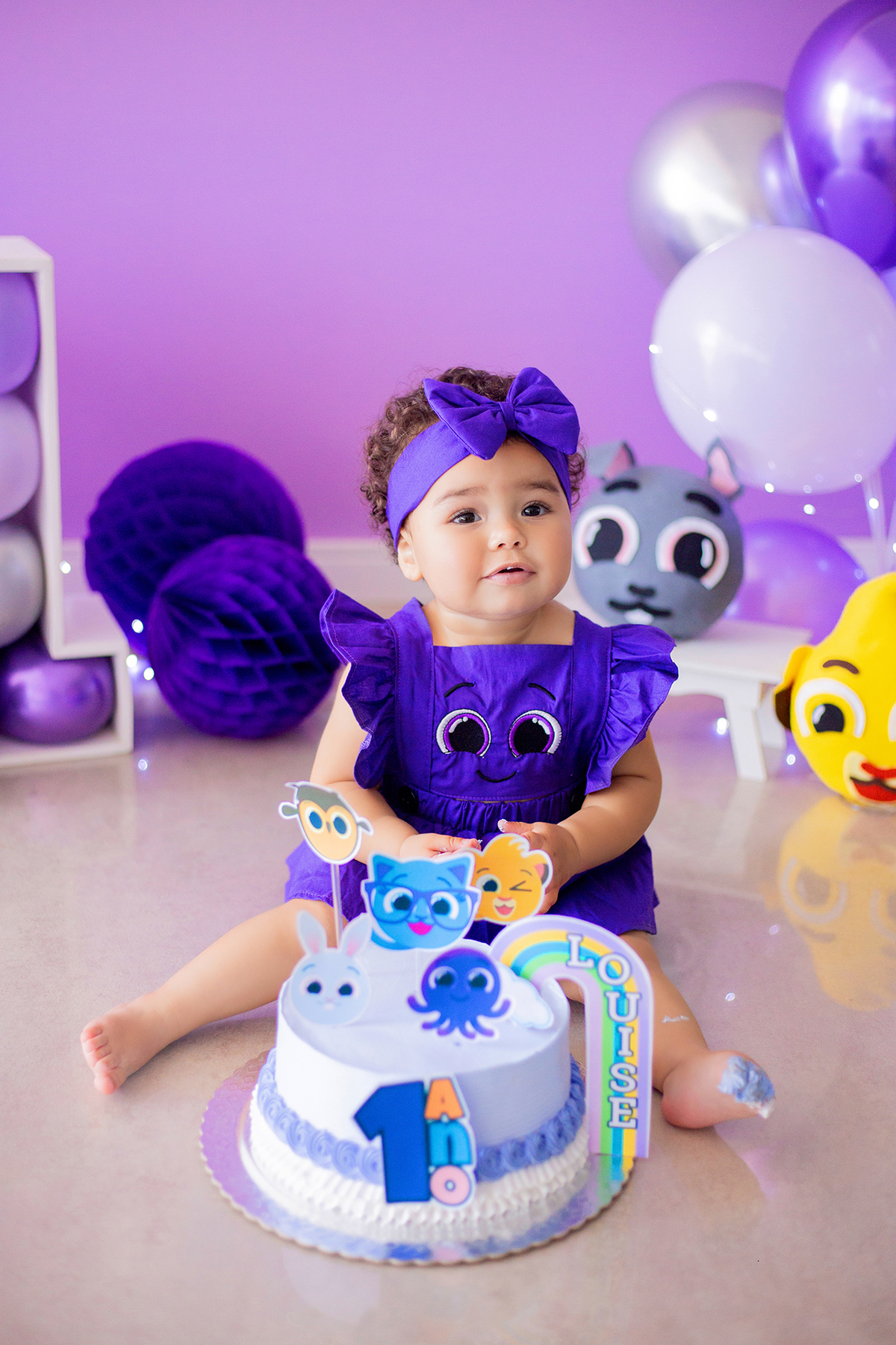 acompanhamento mensal de bebe caxias do sul figurino cenario tematico  personagem foto infantil serra gaucha fotografia familia mundo azul rosa ensaio fotografico crianca newborn baby menino menina smash the cake esmague o bolo banheira urso circoacompanh