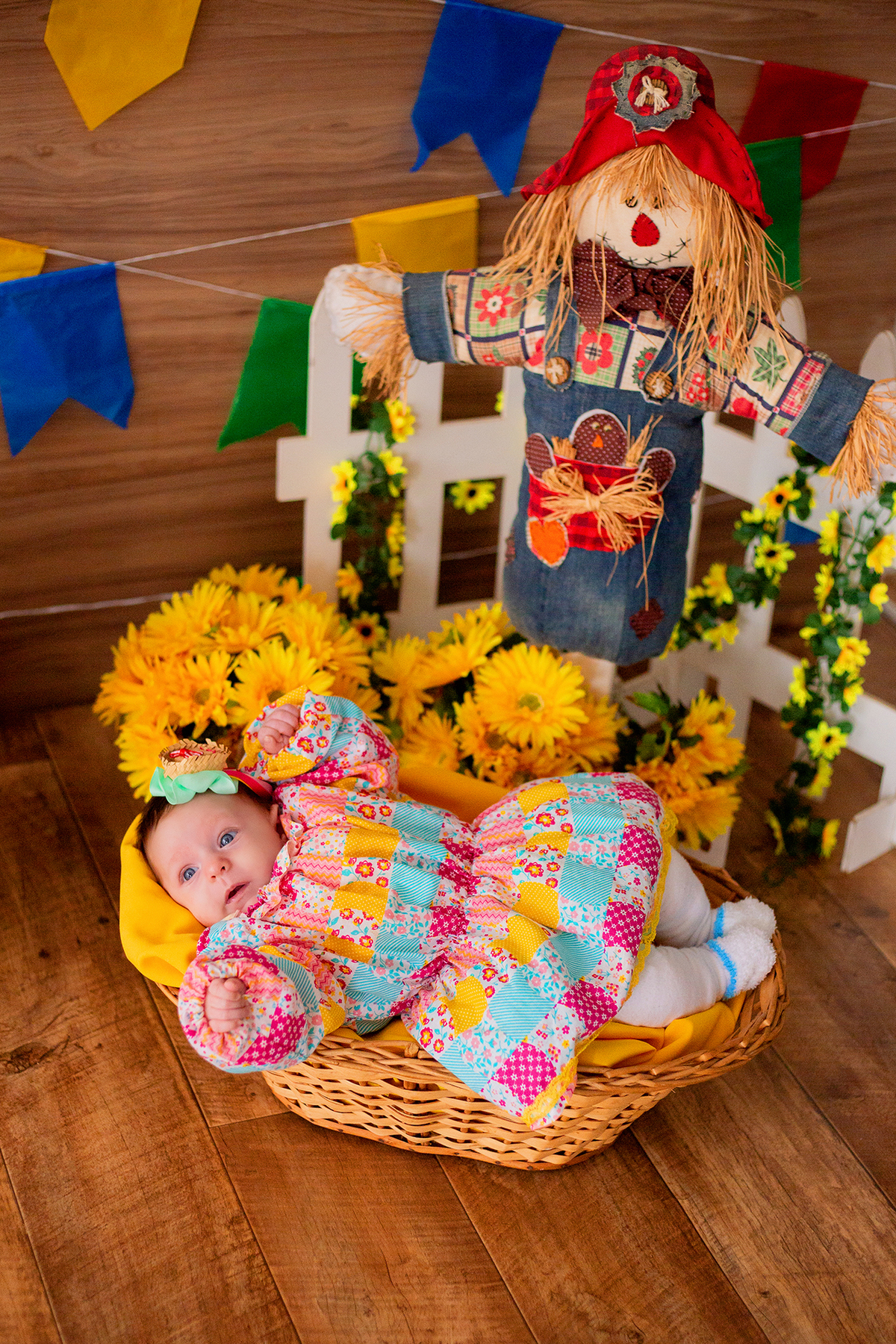 acompanhamento mensal de bebe caxias do sul figurino cenario tematico  personagem foto infantil serra gaucha fotografia familia mundo azul rosa ensaio fotografico crianca newborn baby menino menina smash the cake esmague o bolo banheira urso circoacompanh