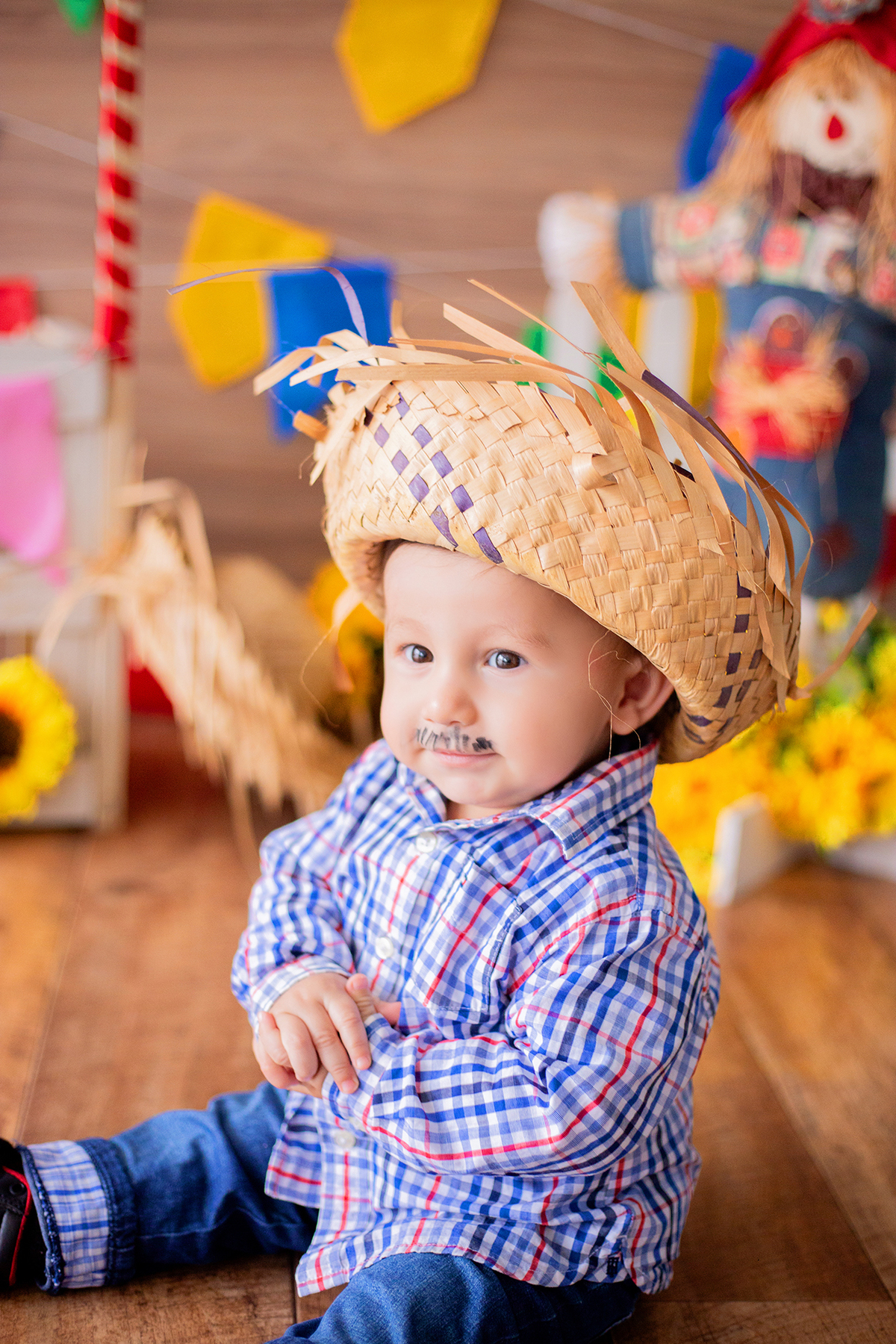 acompanhamento mensal de bebe caxias do sul figurino cenario tematico  personagem foto infantil serra gaucha fotografia familia mundo azul rosa ensaio fotografico crianca newborn baby menino menina smash the cake esmague o bolo banheira urso circoacompanh