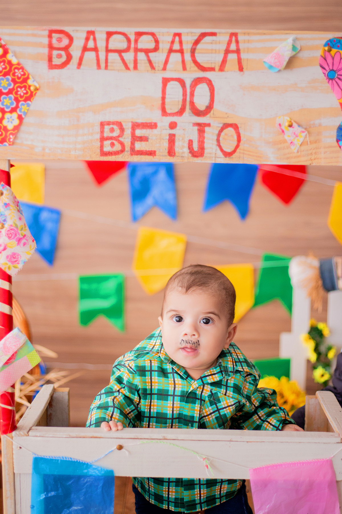 acompanhamento mensal de bebe caxias do sul figurino cenario tematico  personagem foto infantil serra gaucha fotografia familia mundo azul rosa ensaio fotografico crianca newborn baby menino menina smash the cake esmague o bolo banheira urso circoacompanh