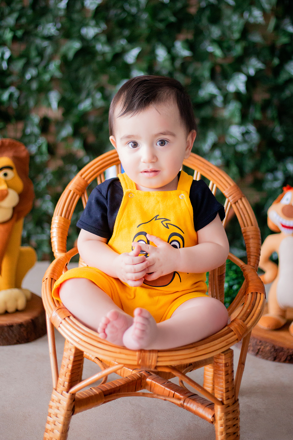 acompanhamento mensal de bebe caxias do sul figurino cenario tematico  personagem foto infantil serra gaucha fotografia familia mundo azul rosa ensaio fotografico crianca newborn baby menino menina smash the cake esmague o bolo banheira urso circoacompanh