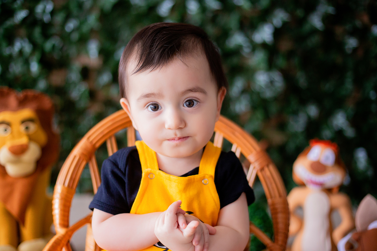 acompanhamento mensal de bebe caxias do sul figurino cenario tematico  personagem foto infantil serra gaucha fotografia familia mundo azul rosa ensaio fotografico crianca newborn baby menino menina smash the cake esmague o bolo banheira urso circoacompanh