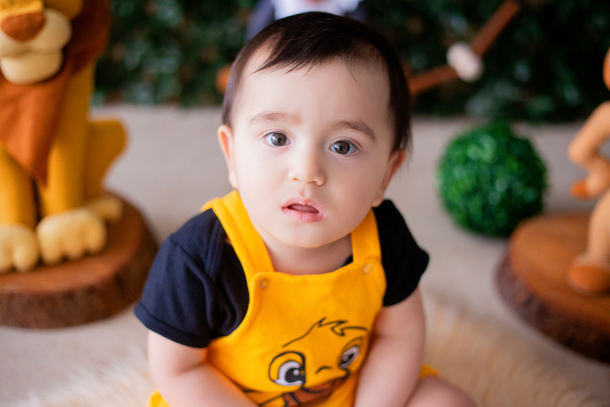 acompanhamento mensal de bebe caxias do sul figurino cenario tematico  personagem foto infantil serra gaucha fotografia familia mundo azul rosa ensaio fotografico crianca newborn baby menino menina smash the cake esmague o bolo banheira urso circoacompanh