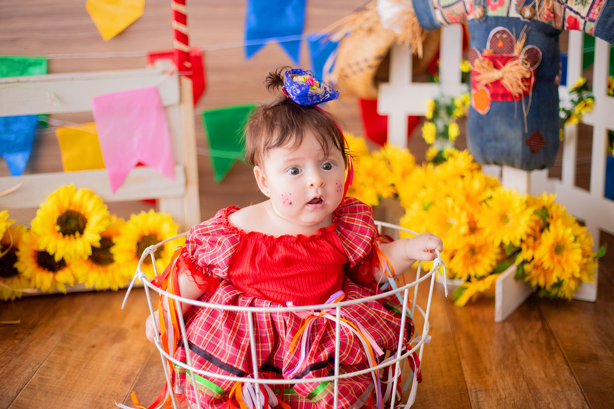 acompanhamento mensal de bebe caxias do sul figurino cenario tematico  personagem foto infantil serra gaucha fotografia familia mundo azul rosa ensaio fotografico crianca newborn baby menino menina smash the cake esmague o bolo banheira urso circoacompanh