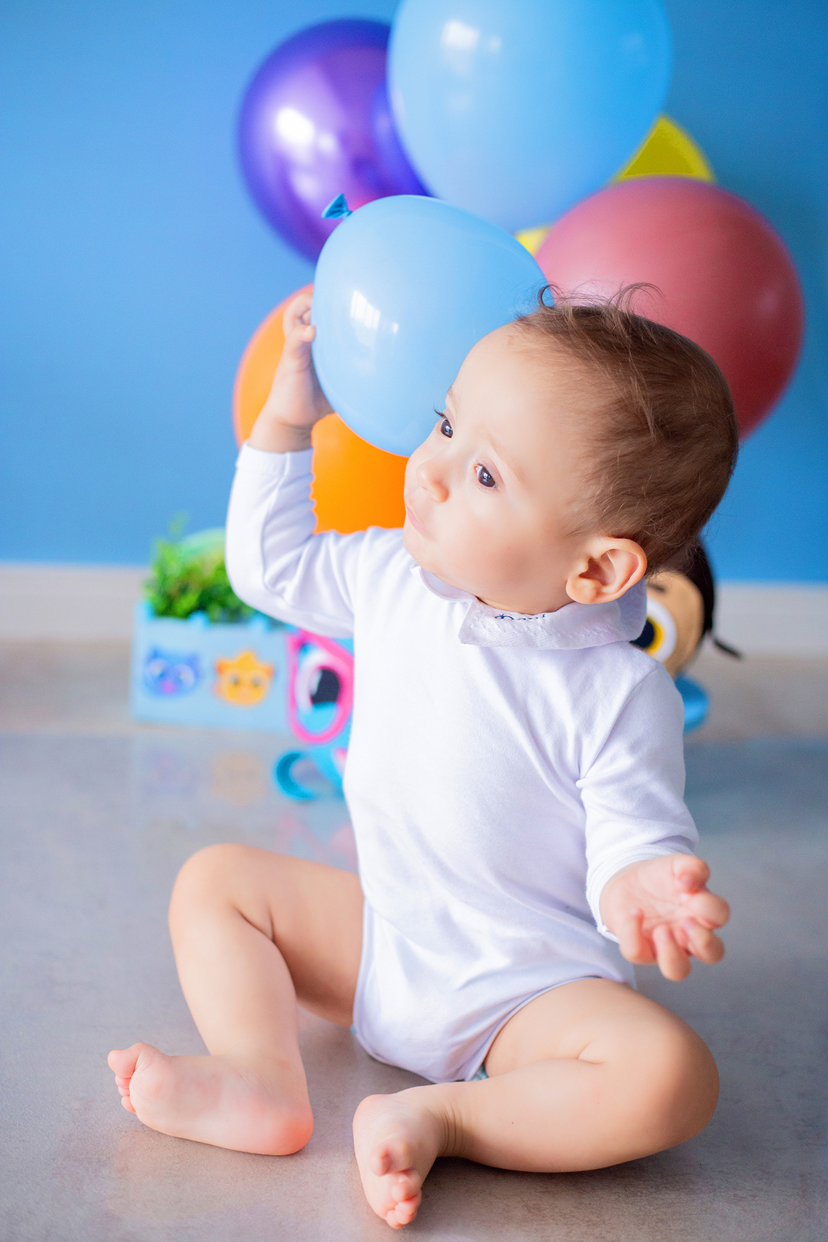 acompanhamento mensal de bebe caxias do sul figurino cenario tematico  personagem foto infantil serra gaucha fotografia familia mundo azul rosa ensaio fotografico crianca newborn baby menino menina smash the cake esmague o bolo banheira urso circo