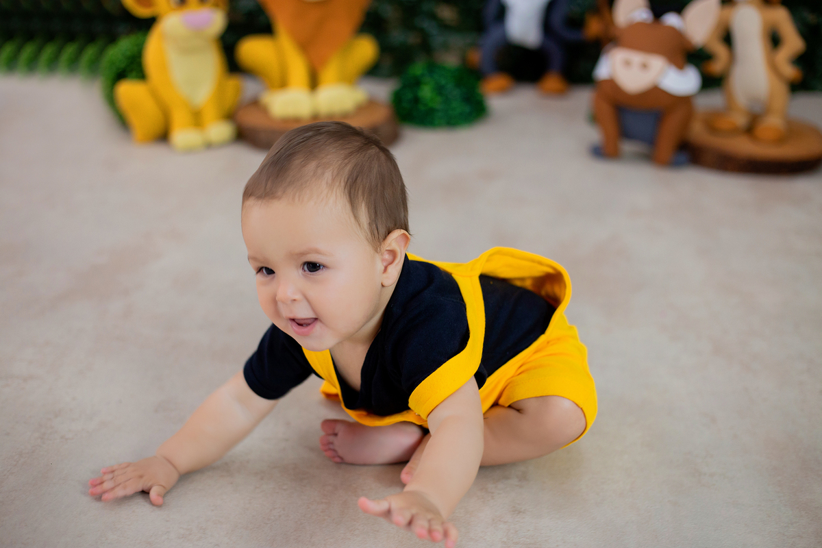 acompanhamento mensal de bebe caxias do sul figurino cenario tematico  personagem foto infantil serra gaucha fotografia familia mundo azul rosa ensaio fotografico crianca newborn baby menino menina smash the cake esmague o bolo banheira urso circo