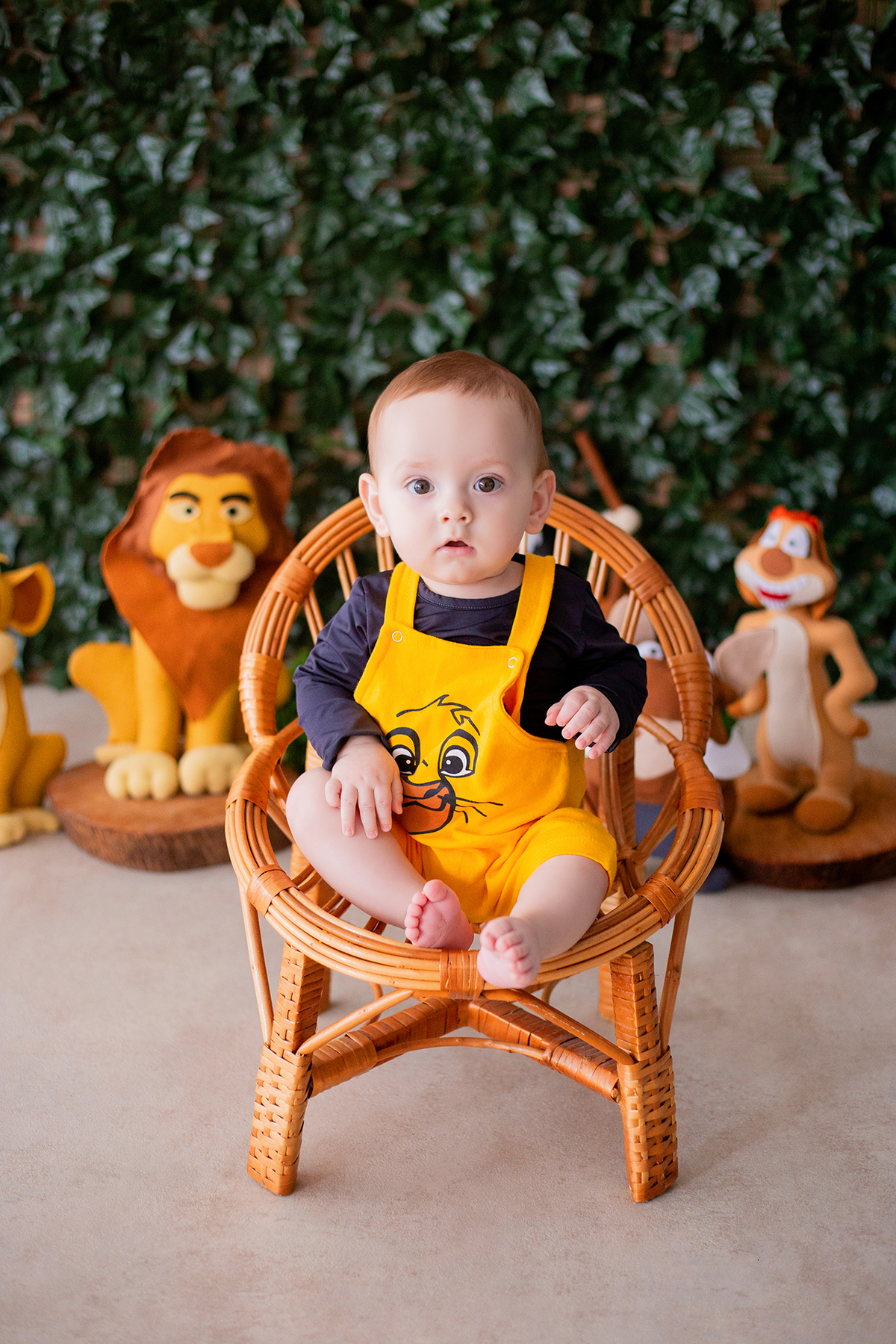 acompanhamento mensal de bebe caxias do sul figurino cenario tematico  personagem foto infantil serra gaucha fotografia familia mundo azul rosa ensaio fotografico crianca newborn baby menino menina smash the cake esmague o bolo banheira urso circo