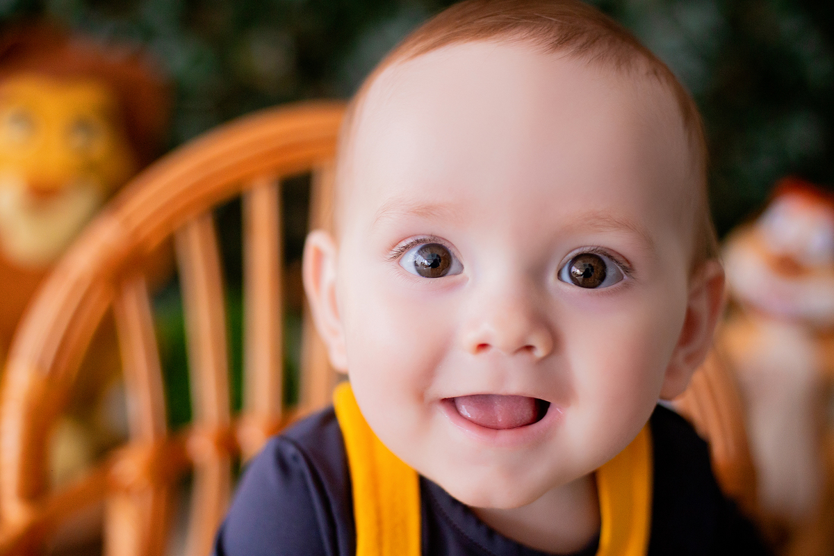acompanhamento mensal de bebe caxias do sul figurino cenario tematico  personagem foto infantil serra gaucha fotografia familia mundo azul rosa ensaio fotografico crianca newborn baby menino menina smash the cake esmague o bolo banheira urso circo