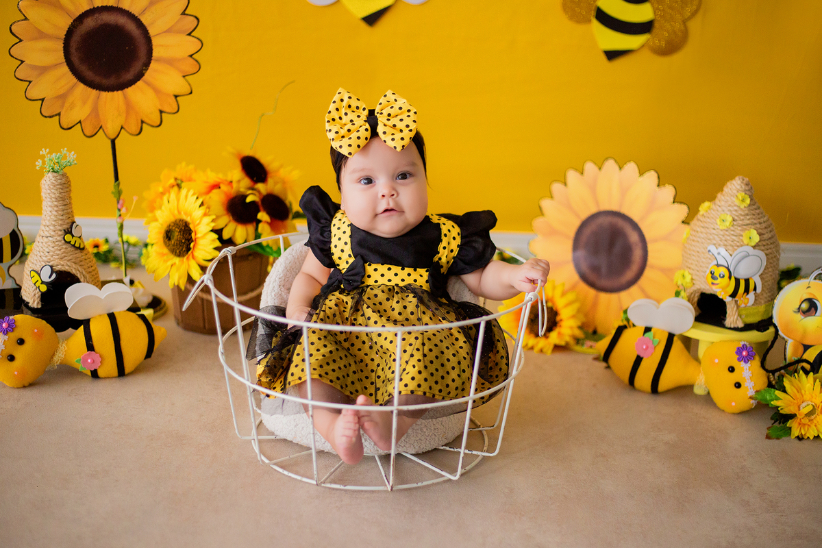 acompanhamento mensal de bebe caxias do sul figurino cenario tematico  personagem foto infantil serra gaucha fotografia familia mundo azul rosa ensaio fotografico crianca newborn baby menino menina smash the cake esmague o bolo banheira urso circo