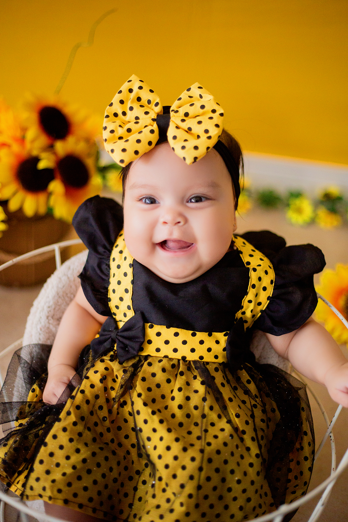 acompanhamento mensal de bebe caxias do sul figurino cenario tematico  personagem foto infantil serra gaucha fotografia familia mundo azul rosa ensaio fotografico crianca newborn baby menino menina smash the cake esmague o bolo banheira urso circo