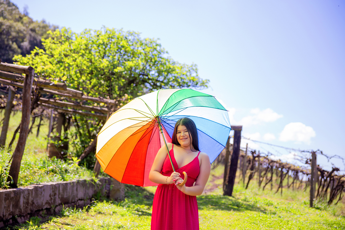 acompanhamento mensal de bebe caxias do sul figurino cenario tematico  personagem foto infantil serra gaucha fotografia familia mundo azul rosa ensaio fotografico crianca newborn baby menino menina smash the cake esmague o bolo banheira urso circo