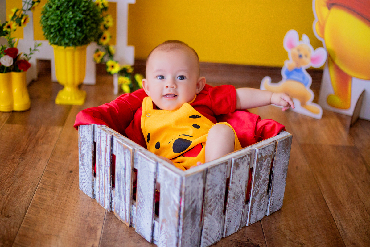 acompanhamento mensal de bebe caxias do sul figurino cenario tematico  personagem foto infantil serra gaucha fotografia familia mundo azul rosa ensaio fotografico crianca newborn baby menino menina smash the cake esmague o bolo banheira urso circo