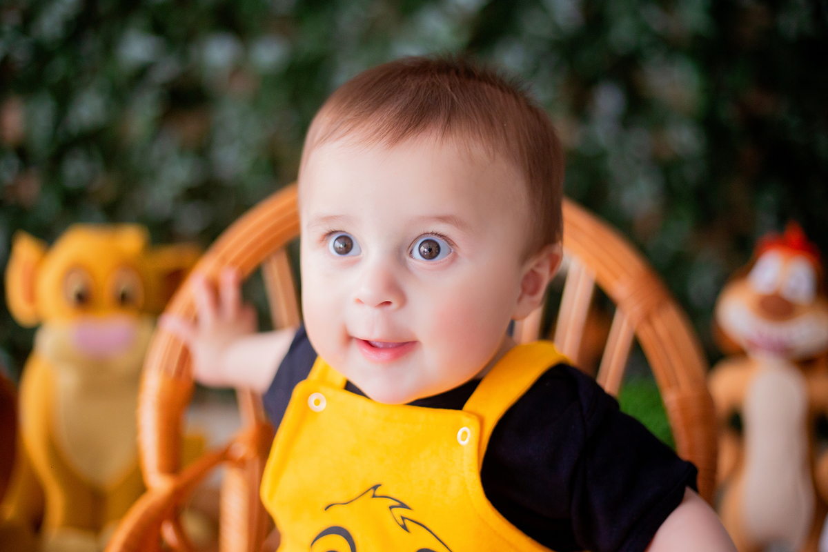 acompanhamento mensal de bebe caxias do sul figurino cenario tematico  personagem foto infantil serra gaucha fotografia familia mundo azul rosa ensaio fotografico crianca newborn baby menino menina smash the cake esmague o bolo banheira urso circo