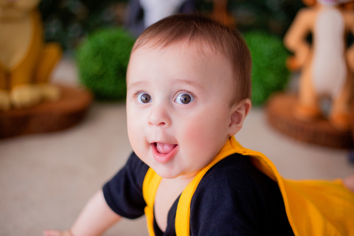 acompanhamento mensal de bebe caxias do sul figurino cenario tematico  personagem foto infantil serra gaucha fotografia familia mundo azul rosa ensaio fotografico crianca newborn baby menino menina smash the cake esmague o bolo banheira urso circo