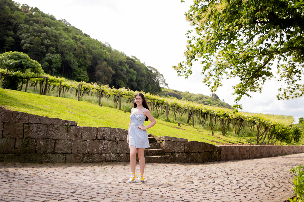 acompanhamento mensal de bebe caxias do sul figurino cenario tematico  personagem foto infantil serra gaucha fotografia familia mundo azul rosa ensaio fotografico crianca newborn baby menino menina smash the cake esmague o bolo banheira urso circo