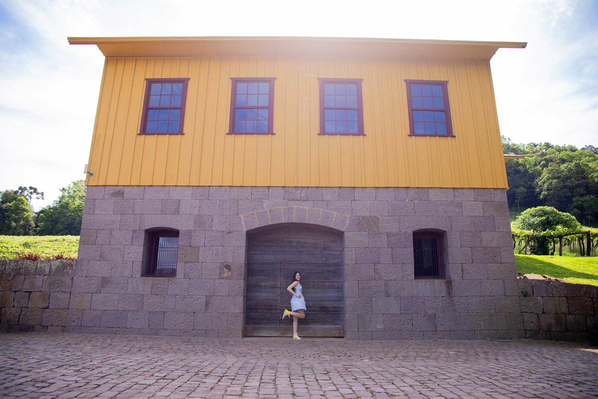 acompanhamento mensal de bebe caxias do sul figurino cenario tematico  personagem foto infantil serra gaucha fotografia familia mundo azul rosa ensaio fotografico crianca newborn baby menino menina smash the cake esmague o bolo banheira urso circo