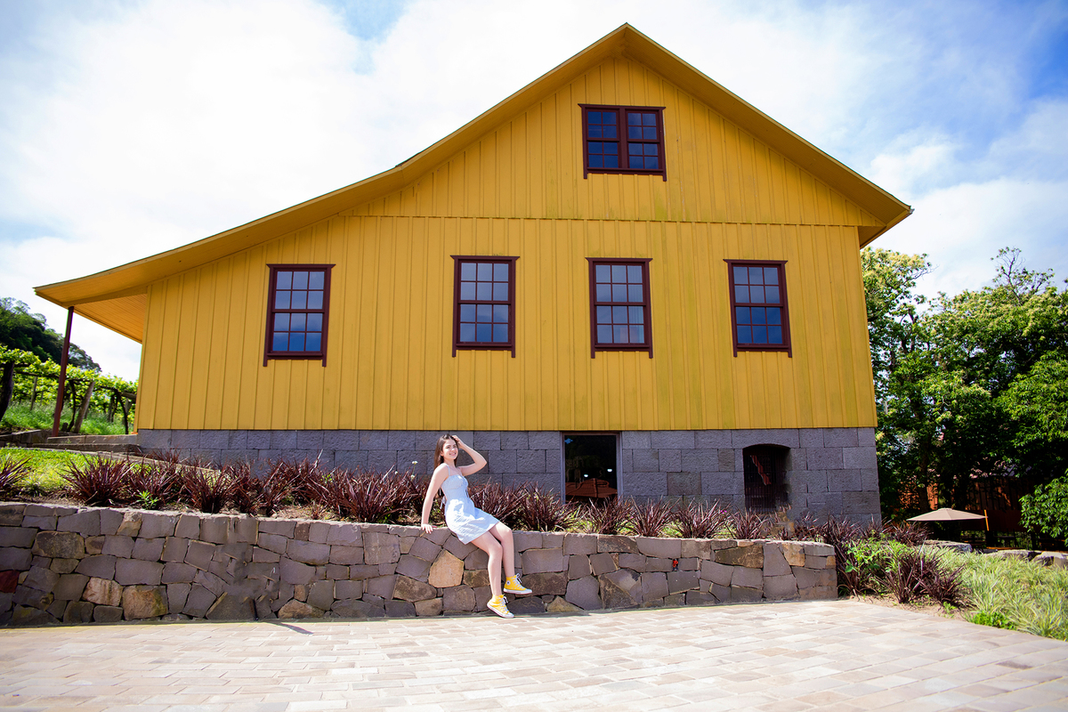 acompanhamento mensal de bebe caxias do sul figurino cenario tematico  personagem foto infantil serra gaucha fotografia familia mundo azul rosa ensaio fotografico crianca newborn baby menino menina smash the cake esmague o bolo banheira urso circo