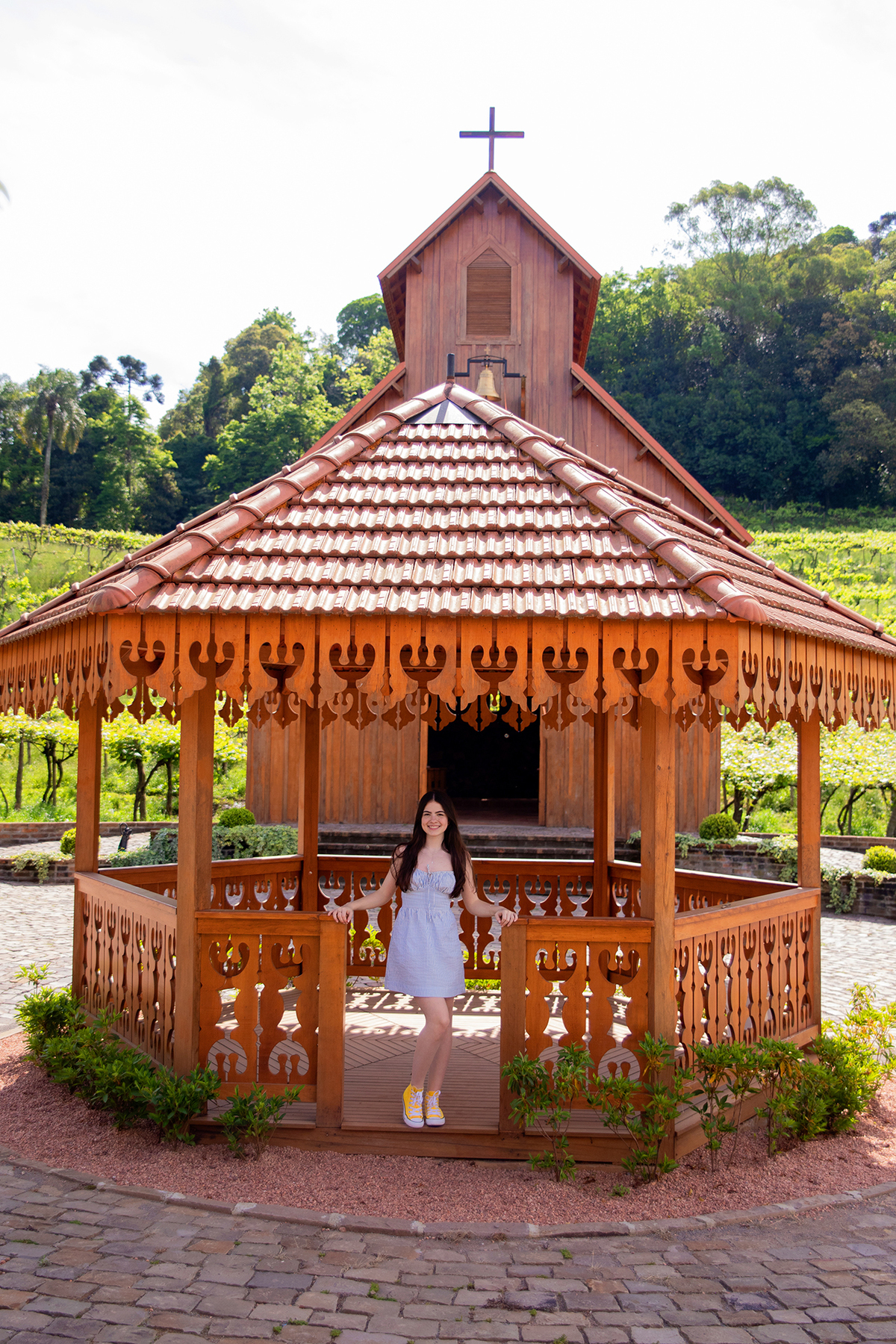 acompanhamento mensal de bebe caxias do sul figurino cenario tematico  personagem foto infantil serra gaucha fotografia familia mundo azul rosa ensaio fotografico crianca newborn baby menino menina smash the cake esmague o bolo banheira urso circo