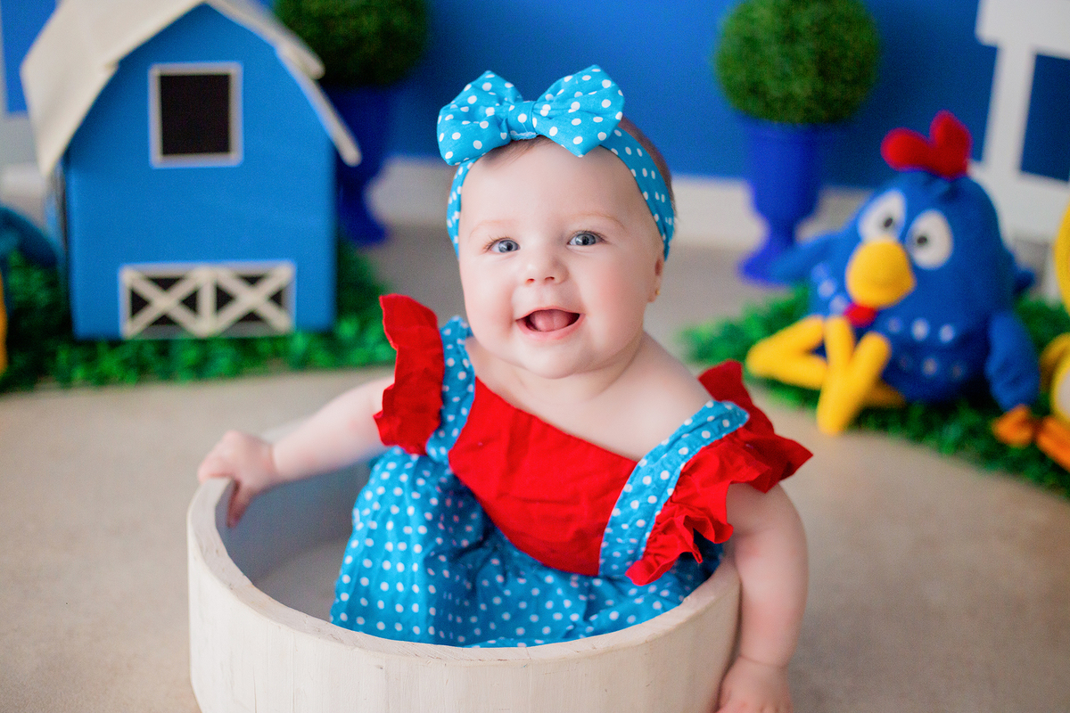 acompanhamento mensal de bebe caxias do sul figurino cenario tematico  personagem foto infantil serra gaucha fotografia familia mundo azul rosa ensaio fotografico crianca newborn baby menino menina smash the cake esmague o bolo banheira urso circo