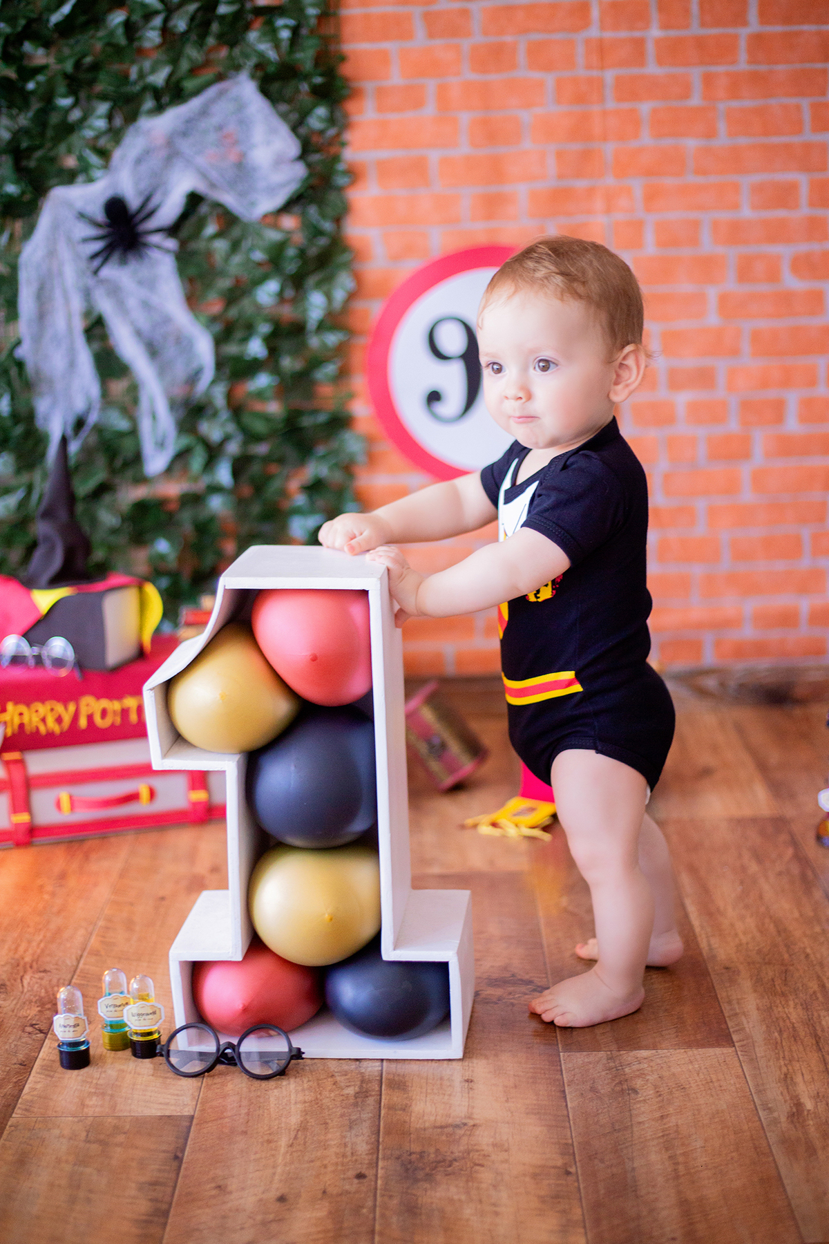 acompanhamento mensal de bebe caxias do sul figurino cenario tematico  personagem foto infantil serra gaucha fotografia familia mundo azul rosa ensaio fotografico crianca newborn baby menino menina smash the cake esmague o bolo banheira urso circo