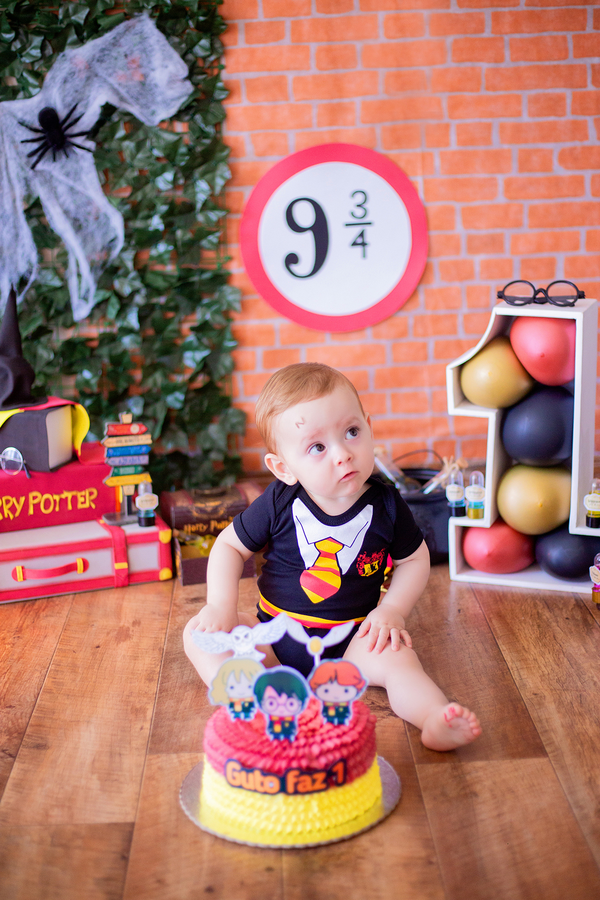 acompanhamento mensal de bebe caxias do sul figurino cenario tematico  personagem foto infantil serra gaucha fotografia familia mundo azul rosa ensaio fotografico crianca newborn baby menino menina smash the cake esmague o bolo banheira urso circo