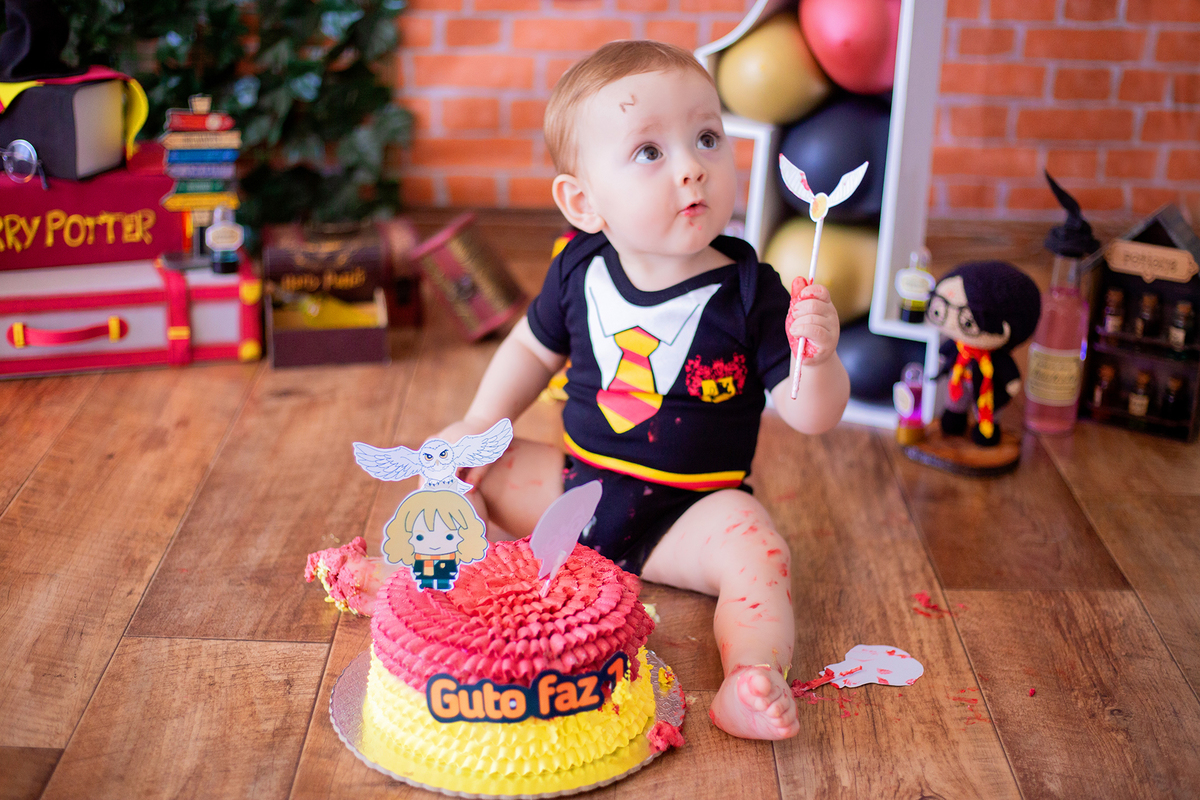 acompanhamento mensal de bebe caxias do sul figurino cenario tematico  personagem foto infantil serra gaucha fotografia familia mundo azul rosa ensaio fotografico crianca newborn baby menino menina smash the cake esmague o bolo banheira urso circo