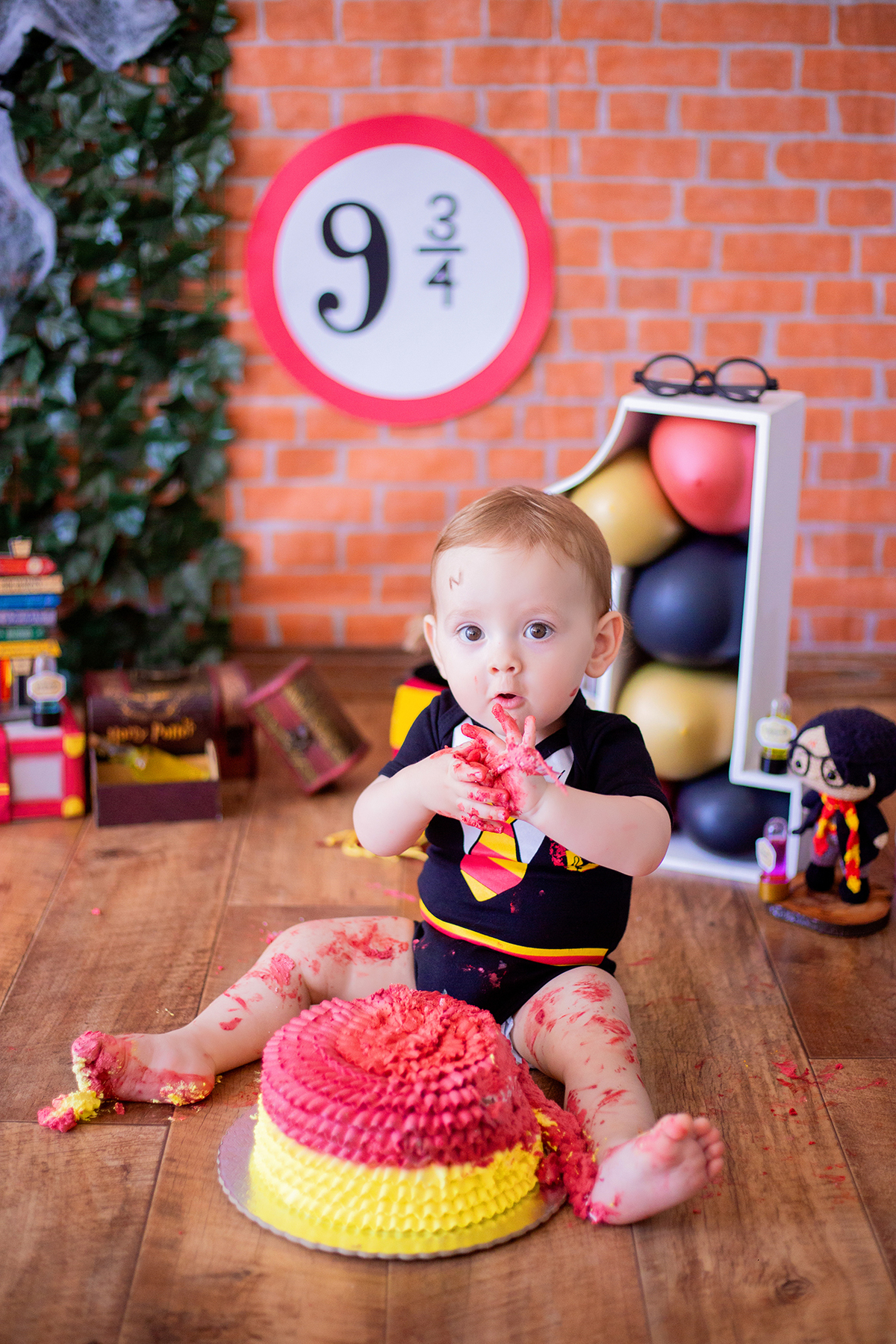 acompanhamento mensal de bebe caxias do sul figurino cenario tematico  personagem foto infantil serra gaucha fotografia familia mundo azul rosa ensaio fotografico crianca newborn baby menino menina smash the cake esmague o bolo banheira urso circo