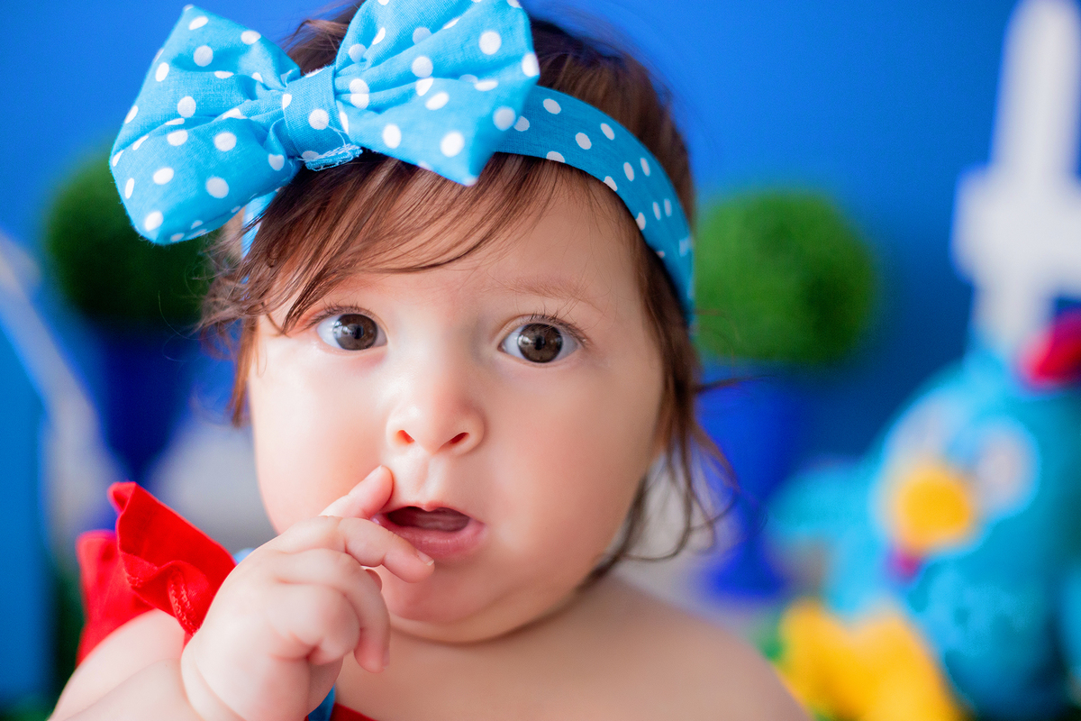 acompanhamento mensal de bebe caxias do sul figurino cenario tematico  personagem foto infantil serra gaucha fotografia familia mundo azul rosa ensaio fotografico crianca newborn baby menino menina smash the cake esmague o bolo banheira urso circo