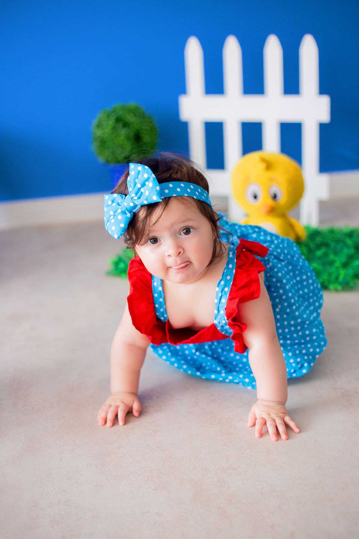 acompanhamento mensal de bebe caxias do sul figurino cenario tematico  personagem foto infantil serra gaucha fotografia familia mundo azul rosa ensaio fotografico crianca newborn baby menino menina smash the cake esmague o bolo banheira urso circo