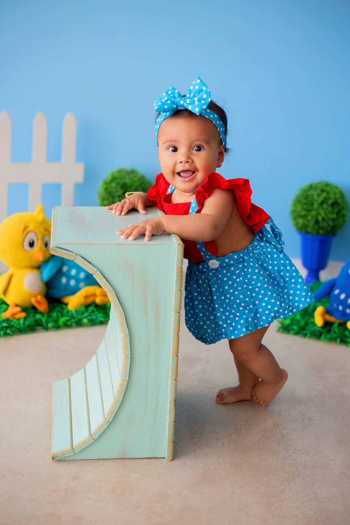 acompanhamento mensal de bebe caxias do sul figurino cenario tematico  personagem foto infantil serra gaucha fotografia familia mundo azul rosa ensaio fotografico crianca newborn baby menino menina smash the cake esmague o bolo banheira urso circo