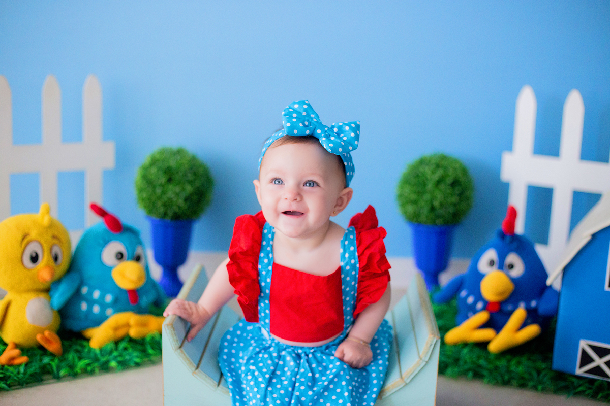 acompanhamento mensal de bebe caxias do sul figurino cenario tematico  personagem foto infantil serra gaucha fotografia familia mundo azul rosa ensaio fotografico crianca newborn baby menino menina smash the cake esmague o bolo banheira urso circo