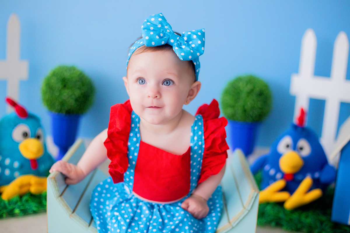 acompanhamento mensal de bebe caxias do sul figurino cenario tematico  personagem foto infantil serra gaucha fotografia familia mundo azul rosa ensaio fotografico crianca newborn baby menino menina smash the cake esmague o bolo banheira urso circo